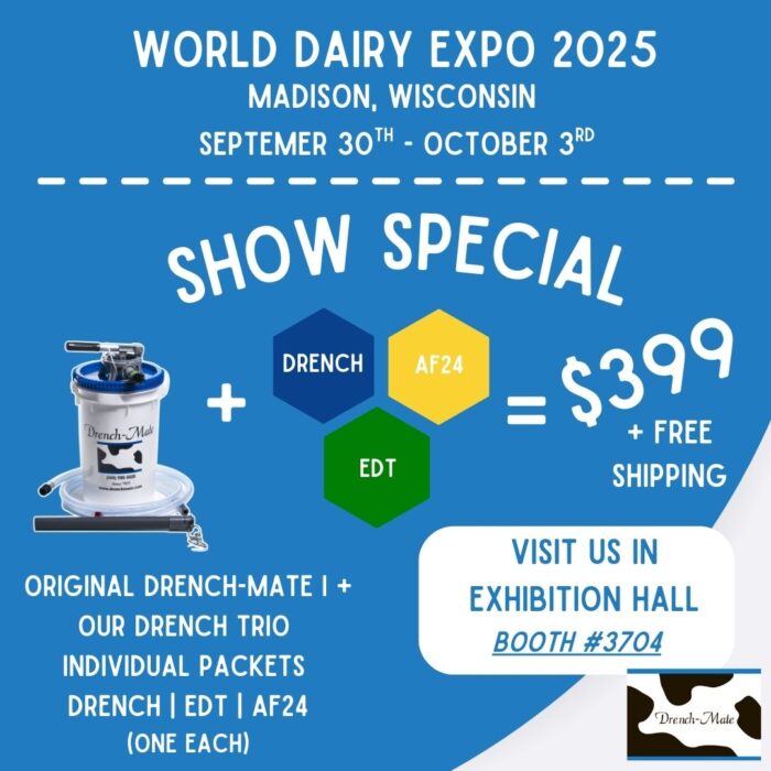 SHOW SPECIAL WDE 2025
